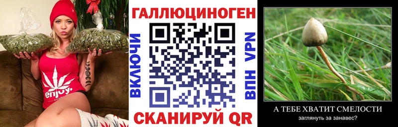 Псилоцибиновые грибы Magic Shrooms  Балей 